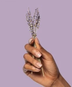 Gifts + Home Accents Poo Pourri “Lavender Vanilla”