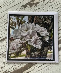 Pamela Anderson Greeting Cards