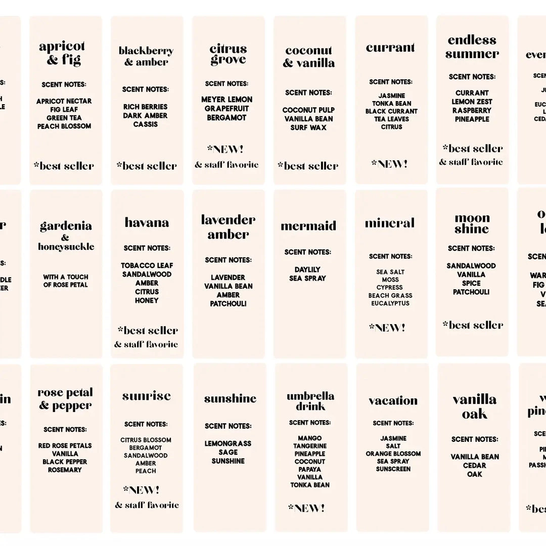 Ginger June Candle Non Toxic Soy Candles Standard Jar 14 Ginger June Candle Non Toxic Soy Candles Standard Jar