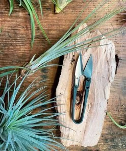 Seattle Seed Co. Gifts + Home Accents Herb Snips