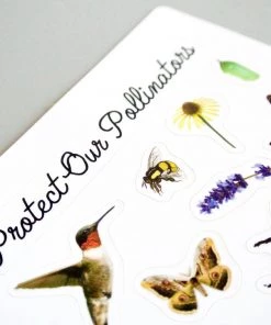 Seattle Seed Co. Pollinator Pride & Patch Sticker Kit Gifts + Home Accents 10 Seattle Seed Co. Pollinator Pride & Patch Sticker Kit Gifts + Home Accents