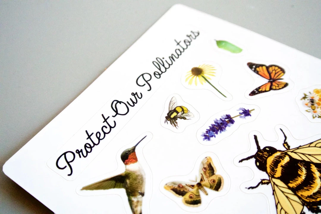 Seattle Seed Co. Pollinator Pride & Patch Sticker Kit Gifts + Home Accents 4 Seattle Seed Co. Pollinator Pride & Patch Sticker Kit Gifts + Home Accents