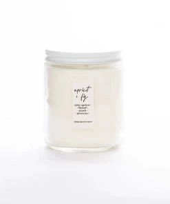 Ginger June Candle Non Toxic Soy Candles Standard Jar 22 Ginger June Candle Non Toxic Soy Candles Standard Jar