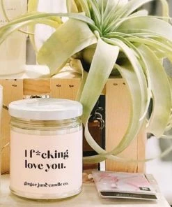 Ginger June Candle Non Toxic Soy Candles Standard Jar