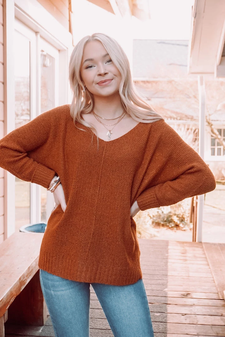 La Miel Dakota V Neck Sweater 9 La Miel Dakota V Neck Sweater